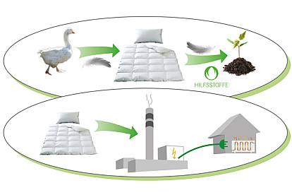 Christian Fischbacher Daunendecken Umweltgerechte Entsorgung