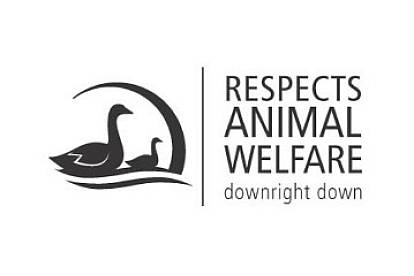 Kauffmann Daunendecken Downright Down