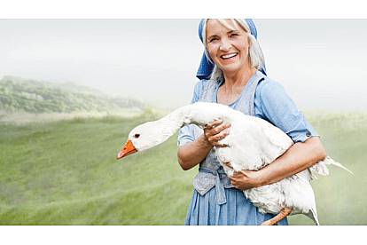 Kauffmann Daunendecken Tierschutz