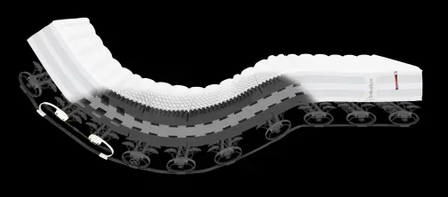 Lattoflex Fluegelfederrahmen Lattoflex 900 Bewegungsbett