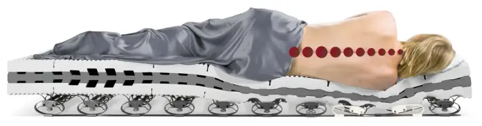 Lattoflex Fluegelfederrahmen Lattoflex 900 gerader Rücken